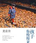 《孩子你慢慢來》龍應臺 著
