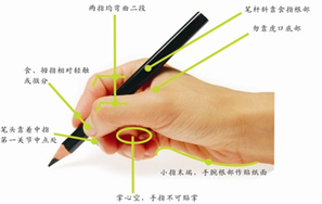 如何快速提高孩子的書寫能力